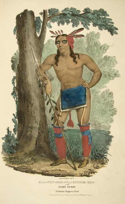 Kaa-nun-der-waaguinse-zoo or the Berry Picker by James Otto Lewis